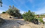 Property to buy Plots and terrains POLOP